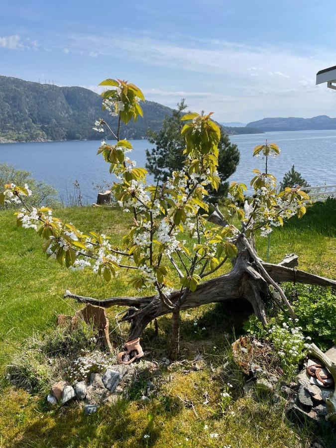 Langenuen Motel & Camping Stord Exterior foto